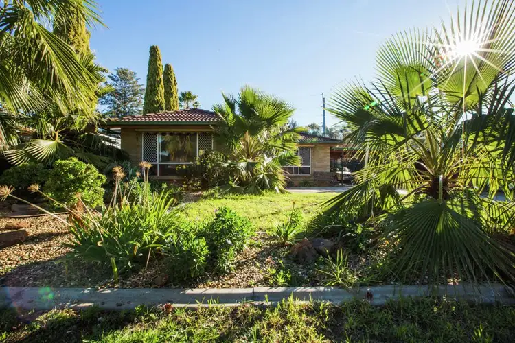 Second view of Homely house listing, 48 Adjin Street, Mount Austin NSW 2650