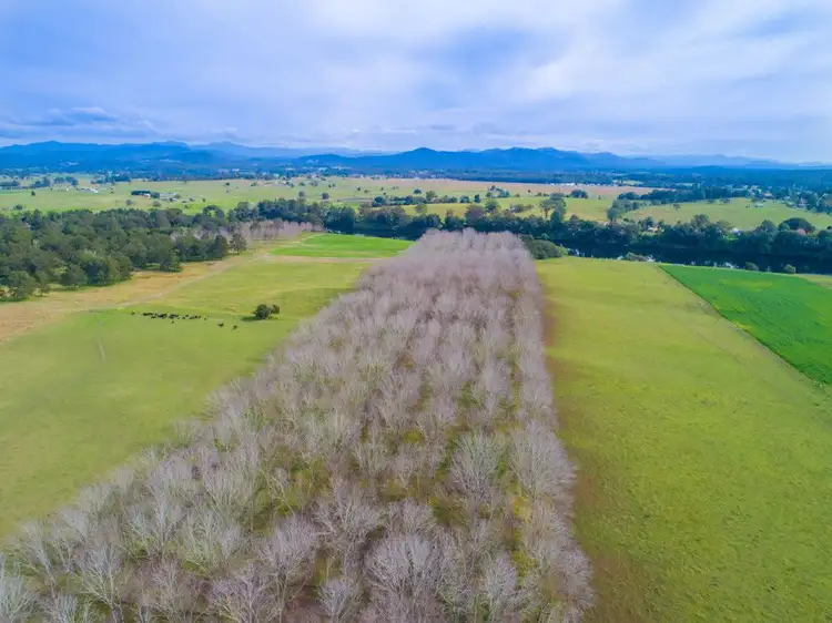 Fourth view of Homely rural property listing, 172 Marys Bay Road, Euroka NSW 2440