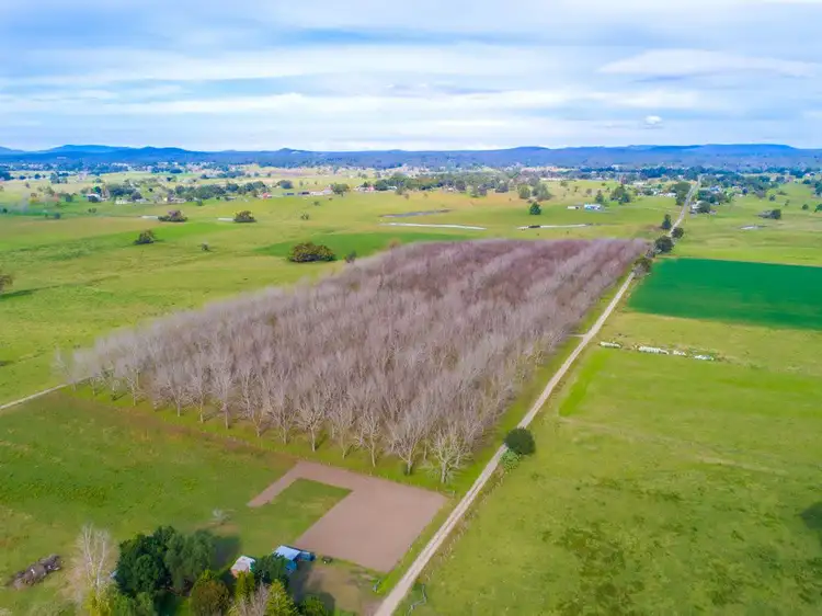 Fifth view of Homely rural property listing, 172 Marys Bay Road, Euroka NSW 2440
