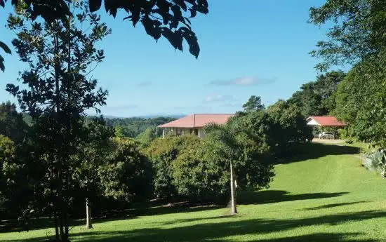 Fourth view of Homely rural property listing, 175 Mt Perserverance Road, Julatten QLD 4871