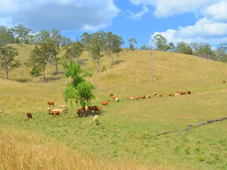 875 Grants Road, Bellthorpe QLD 4514
