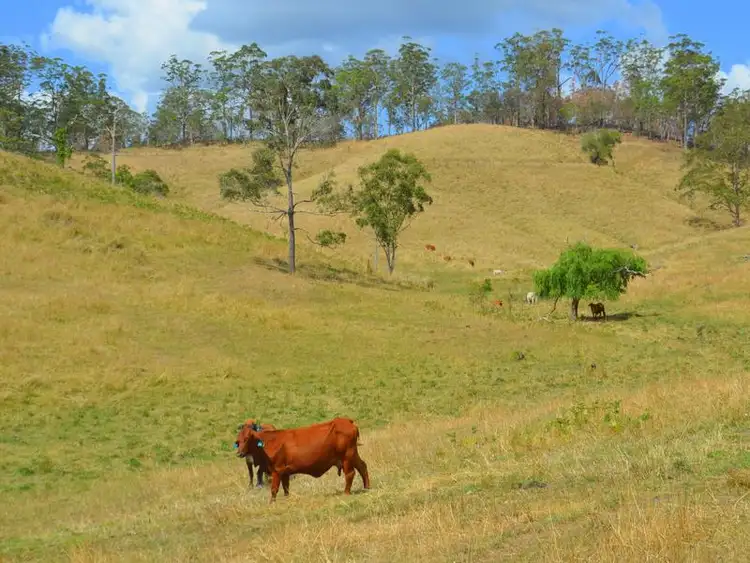 Sixth view of Homely rural property listing, 875 Grants Road, Bellthorpe QLD 4514