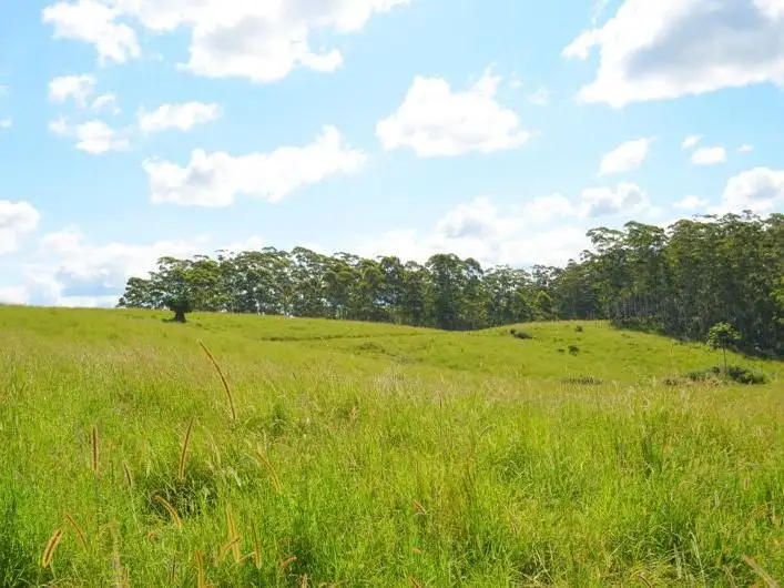 Second view of Homely rural property listing, Lot 2 Willett Road, Bellthorpe QLD 4514