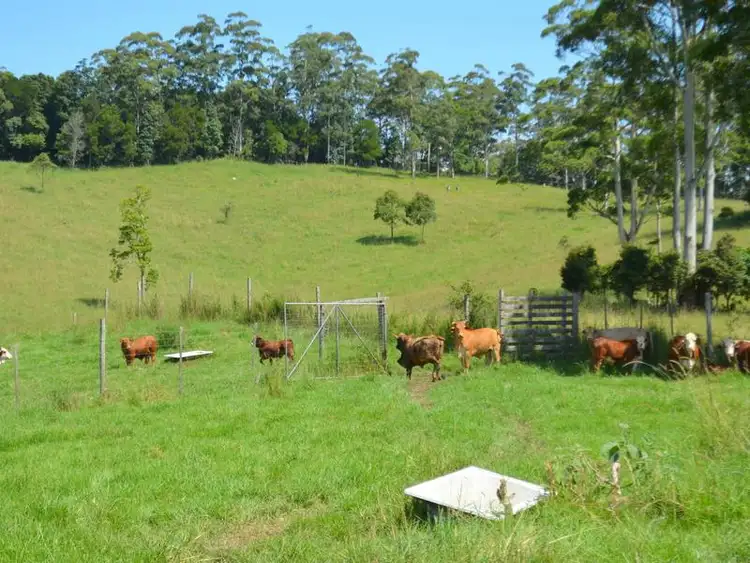 Third view of Homely rural property listing, Lot 2 Willett Road, Bellthorpe QLD 4514
