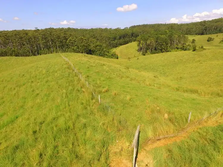 Sixth view of Homely rural property listing, Lot 2 Willett Road, Bellthorpe QLD 4514