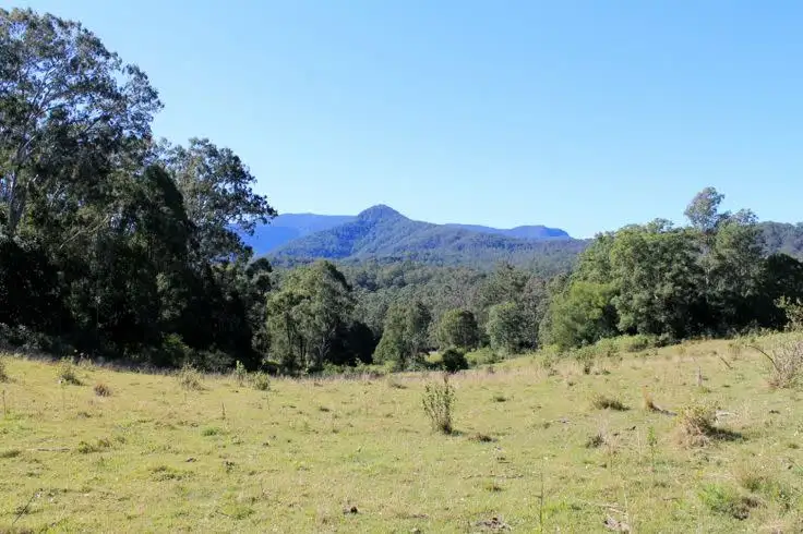 Main view of Homely rural property listing, Lot 1 & Lot 117 Davis Road, Green Pigeon, Kyogle, Kyogle NSW 2474