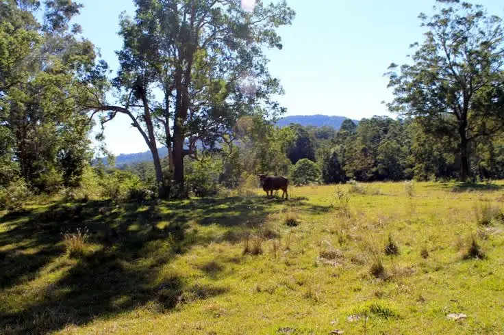 Second view of Homely rural property listing, Lot 1 & Lot 117 Davis Road, Green Pigeon, Kyogle, Kyogle NSW 2474