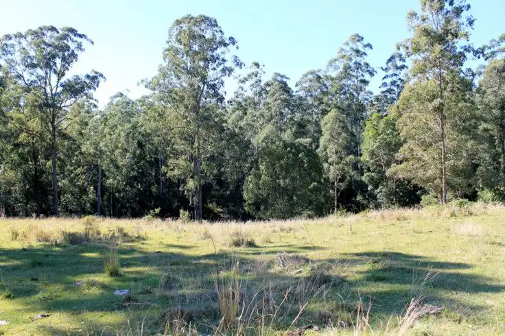 Fourth view of Homely rural property listing, Lot 1 & Lot 117 Davis Road, Green Pigeon, Kyogle, Kyogle NSW 2474