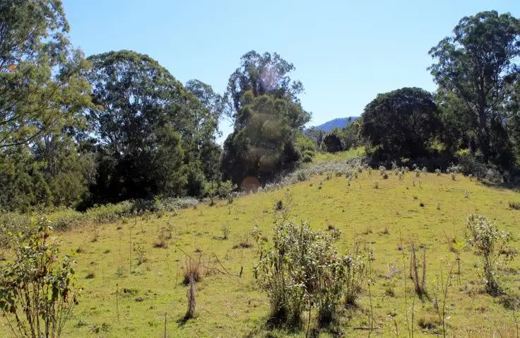 Fifth view of Homely rural property listing, Lot 1 & Lot 117 Davis Road, Green Pigeon, Kyogle, Kyogle NSW 2474