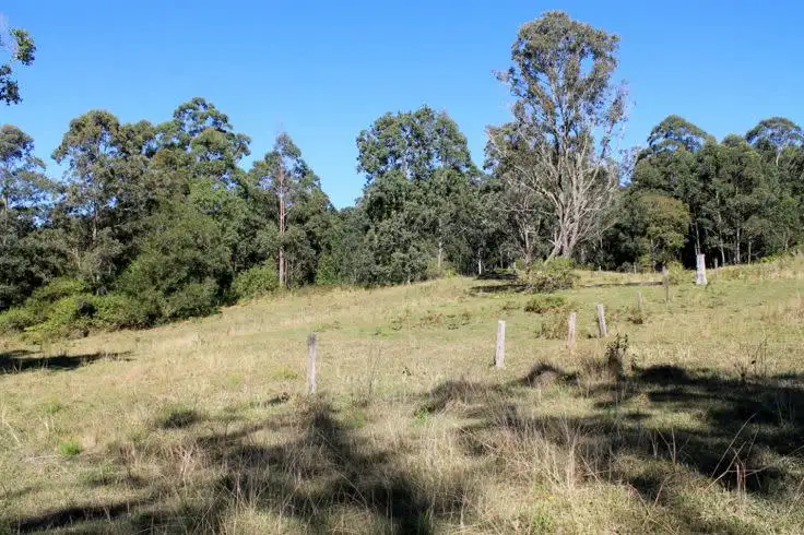 Sixth view of Homely rural property listing, Lot 1 & Lot 117 Davis Road, Green Pigeon, Kyogle, Kyogle NSW 2474