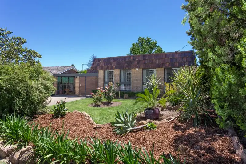 Main view of Homely house listing, 13 Ries Crescent, Tolland NSW 2650