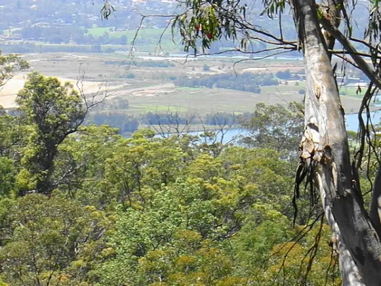 Second view of Homely house listing, 12 PLAINSVIEW CRESCENT, Mount Riverview NSW 2774