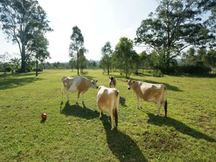 Second view of Homely house listing, Address available on request