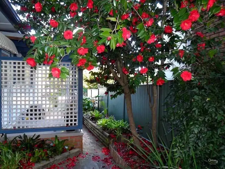 Sixth view of Homely house listing, 30 Bridge Road, Blaxland NSW 2774