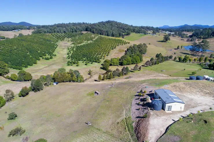 Second view of Homely rural property listing, 61 Peppertree Grove, Talarm NSW 2447