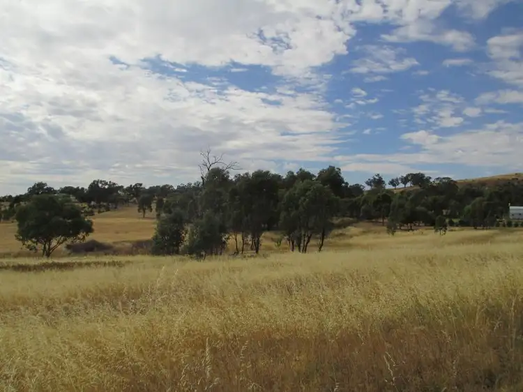 Main view of Homely land listing, 21 Kunzea Place, Springvale NSW 2650