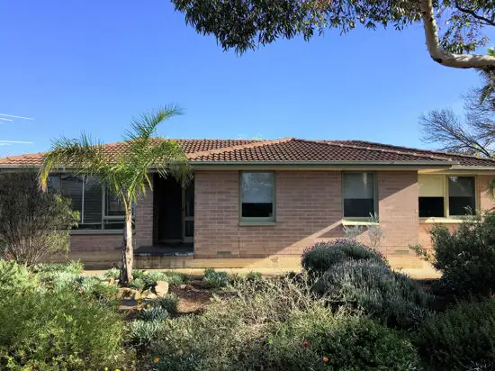 Main view of Homely house listing, 3 Walker Avenue, Mannum SA 5238