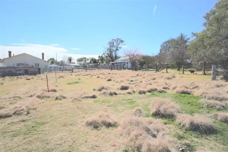 Fifth view of Homely land listing, 253 Douglas Street, Tenterfield NSW 2372
