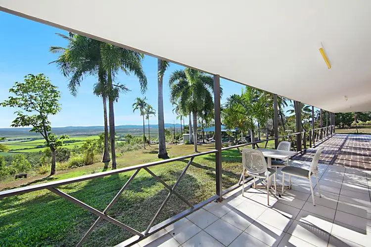 Second view of Homely rural property listing, 124 Probert Road, Bambaroo QLD 4850