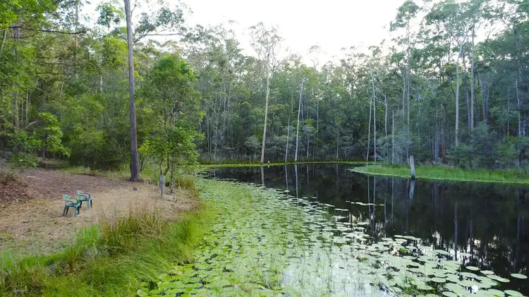 Fourth view of Homely rural property listing, 271 Austinville Road, Mudgeeraba QLD 4213
