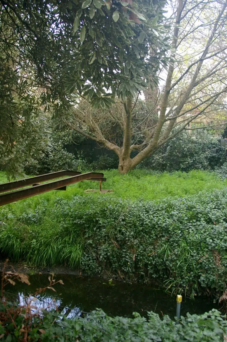 Sixth view of Homely land listing, 12 Tuck Street, Mount Torrens SA 5244