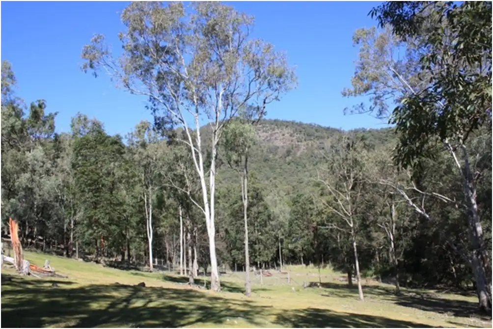 Main view of Homely land listing, 6 Lyell Court, Mount Samson QLD 4520