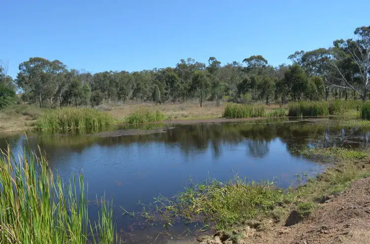 Lot 1 & Lot 28 956 Mount Larcom Bracewell Road, Machine Creek QLD 4695
