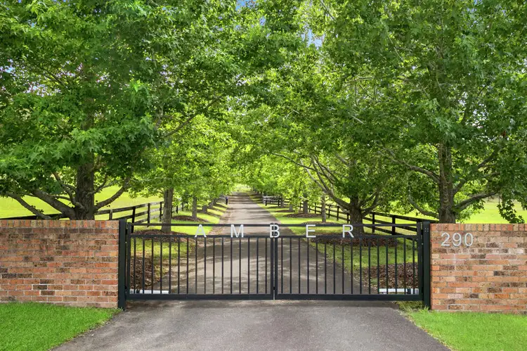 Main view of Homely house listing, 290 Jilliby Road, Jilliby NSW 2259