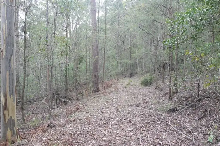 Third view of Homely land listing, Lot 144 & 145 Brush Creek Road, Cedar Brush Creek NSW 2259