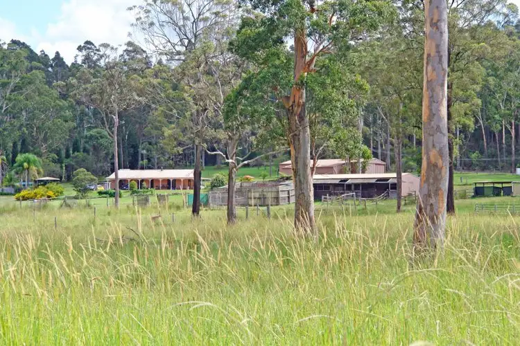 Third view of Homely rural property listing, 830 Dickson Road, Dooralong NSW 2259