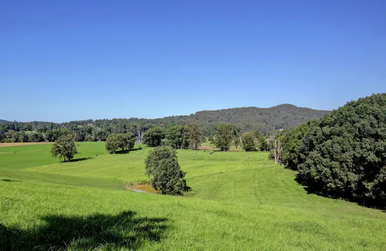 Sixth view of Homely house listing, 524 North Bank Road, Bellingen NSW 2454