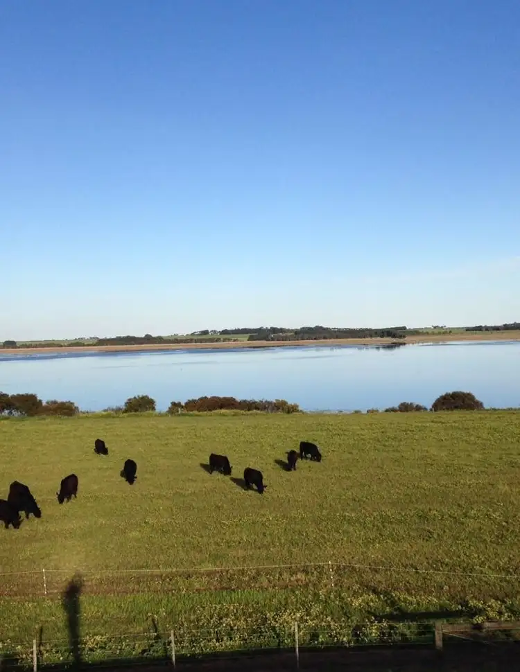 Fifth view of Homely rural property listing, 355 Buckley Road South, Moriac VIC 3240