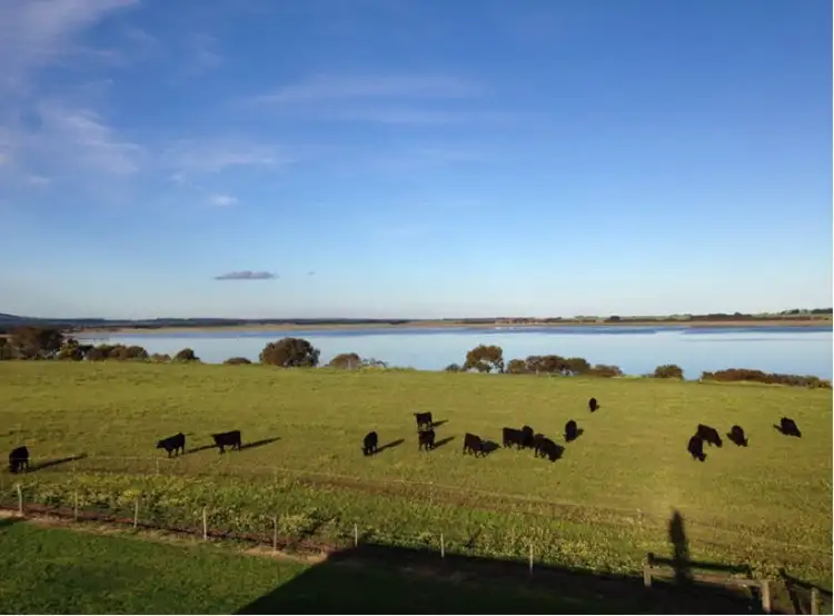 Sixth view of Homely rural property listing, 355 Buckley Road South, Moriac VIC 3240