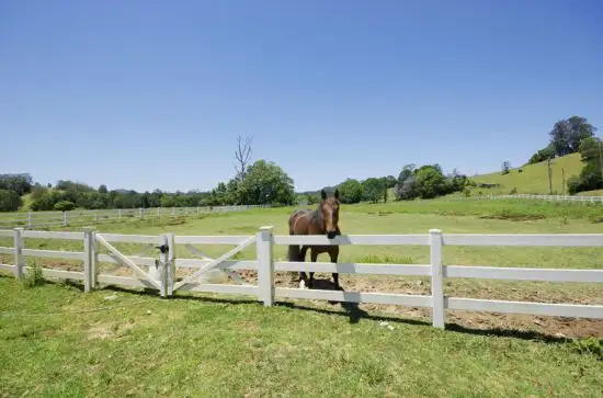 Fourth view of Homely rural property listing, 169 Dairyville Road, Upper Orara NSW 2450