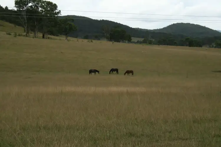Fourth view of Homely rural property listing, 83 Mcleods Creek Road, Sandy Hill NSW 2372