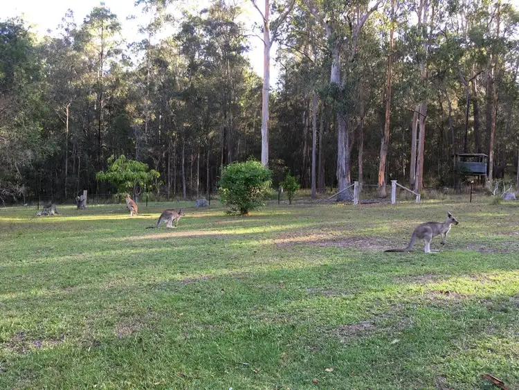 Seventh view of Homely rural property listing, 217 Smiths Creek Road, Kundabung NSW 2441
