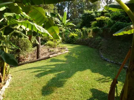 Sixth view of Homely rural property listing, 44 Lyon Street, Repton NSW 2454