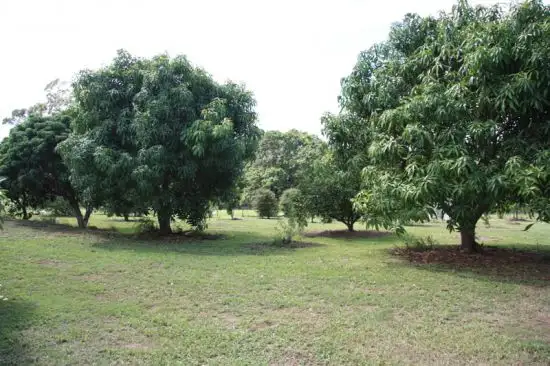 Sixth view of Homely rural property listing, Address available on request