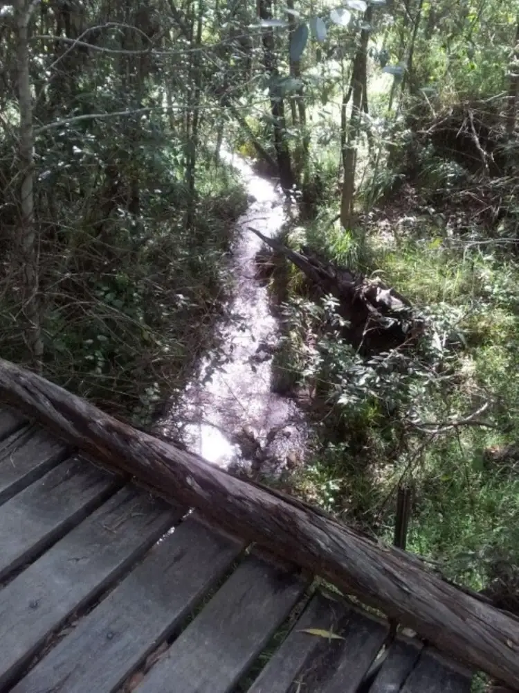 Fourth view of Homely rural property listing, 358 Muller Road, Baffle Creek QLD 4674
