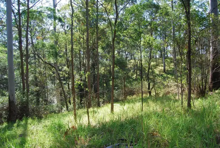 Fourth view of Homely land listing, 87 Doyles Road Reesville, Maleny QLD 4552