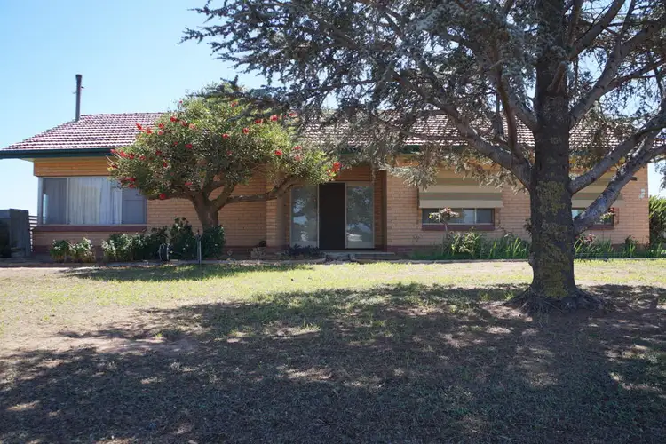 Main view of Homely rural property listing, 57 Prosperity Grove, Murray Bridge SA 5253