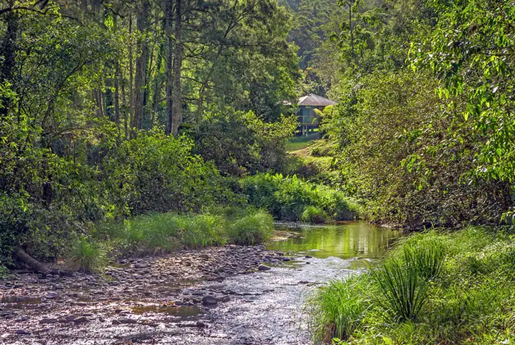 Third view of Homely house listing, 2000 Darkwood Road, Thora, Bellingen NSW 2454