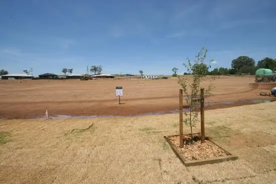 Lot 311 Lorikeet Drive, Tamworth NSW 2340