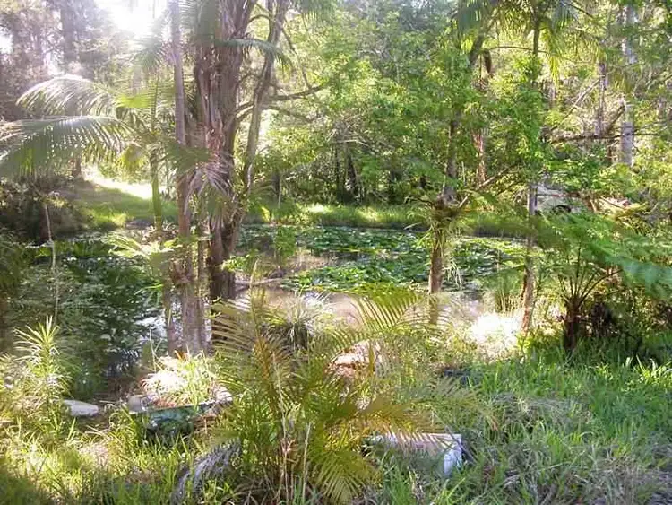 Second view of Homely rural property listing, Lot 1 Fuerte Drive, Valla NSW 2448