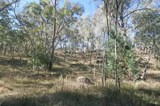 Third view of Homely rural property listing, 471 "Treetop" New England Gully Road Moonbi, Tamworth NSW 2340