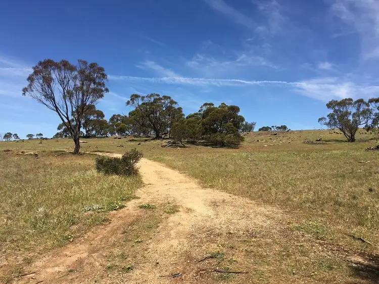 Second view of Homely rural property listing, Lot 1 Talbot Road, Rockleigh SA 5254