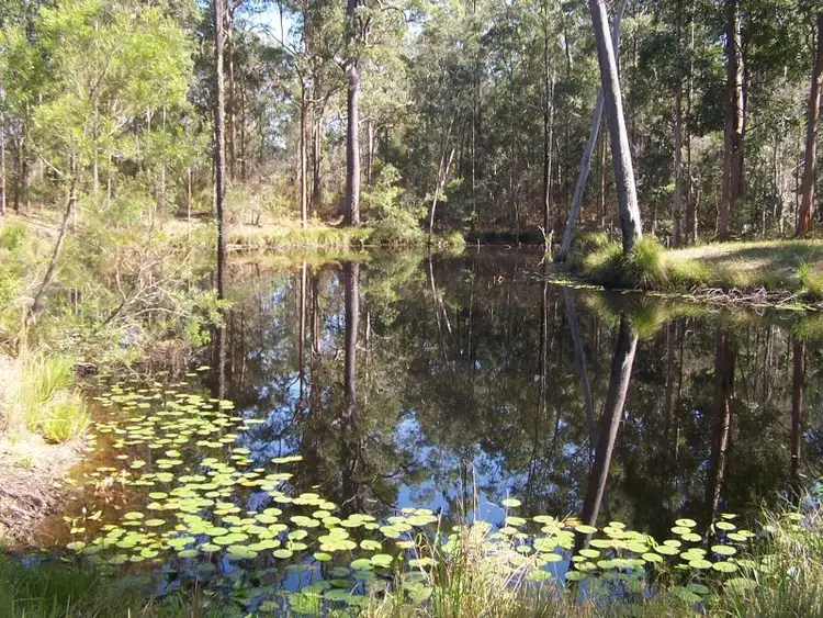 Sixth view of Homely rural property listing, 424 Minimbah West Branch, Nabiac NSW 2312