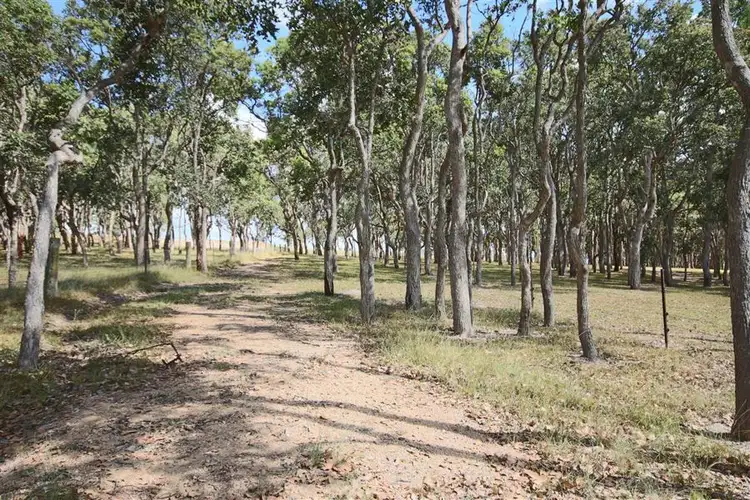Sixth view of Homely land listing, Lot 42 Black Swamp Road, Tenterfield NSW 2372