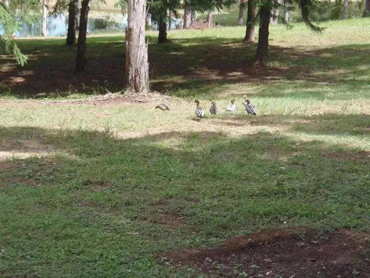 Seventh view of Homely land listing, Address available on request