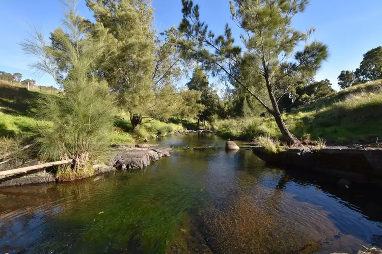 Fourth view of Homely rural property listing, 1911 Upper Rouchel Road, Rouchel NSW 2336